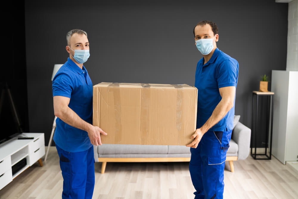 Packing Companies Near Me Kings Tampa